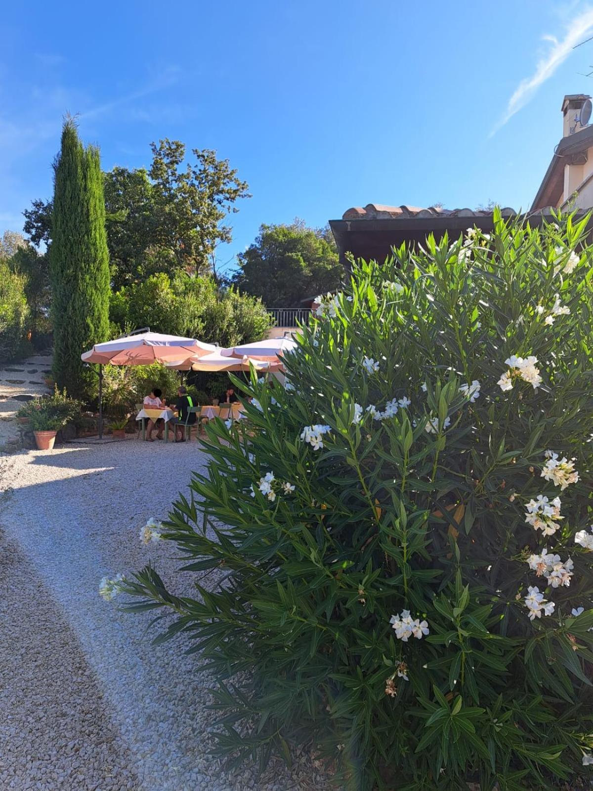 Casale Terre Rosse Bed & Breakfast Saturnia Ngoại thất bức ảnh