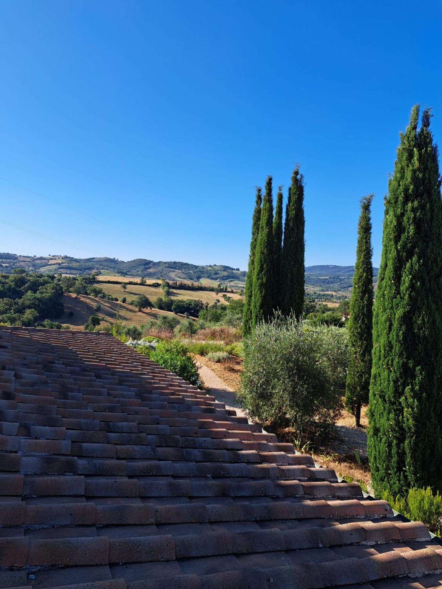 Casale Terre Rosse Bed & Breakfast Saturnia Ngoại thất bức ảnh