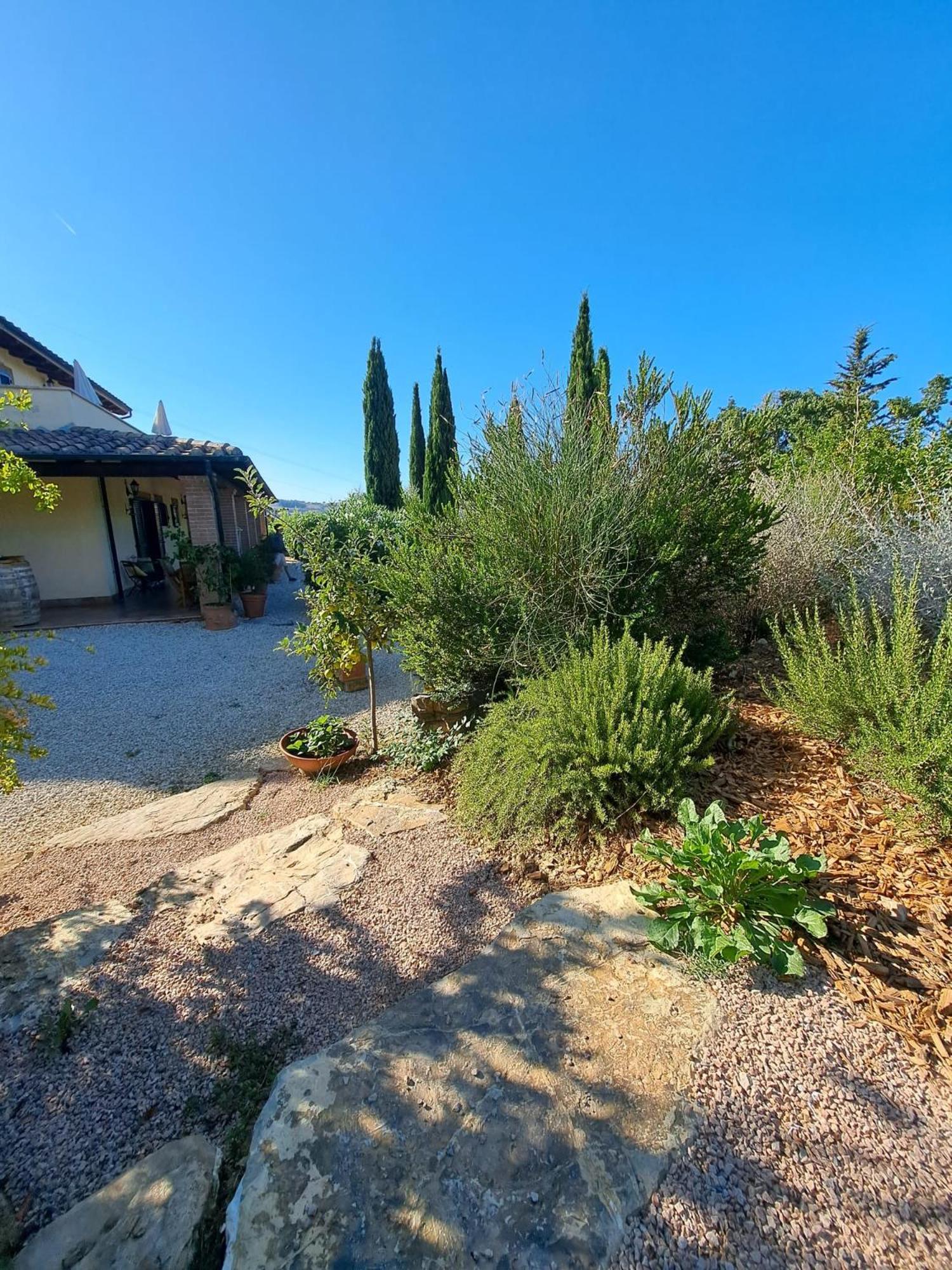 Casale Terre Rosse Bed & Breakfast Saturnia Ngoại thất bức ảnh