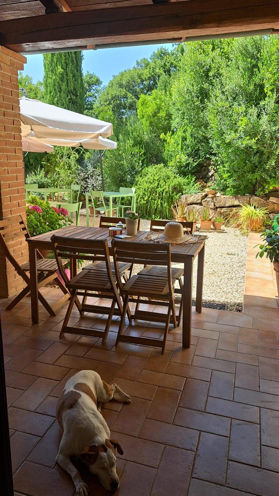 Casale Terre Rosse Bed & Breakfast Saturnia Ngoại thất bức ảnh